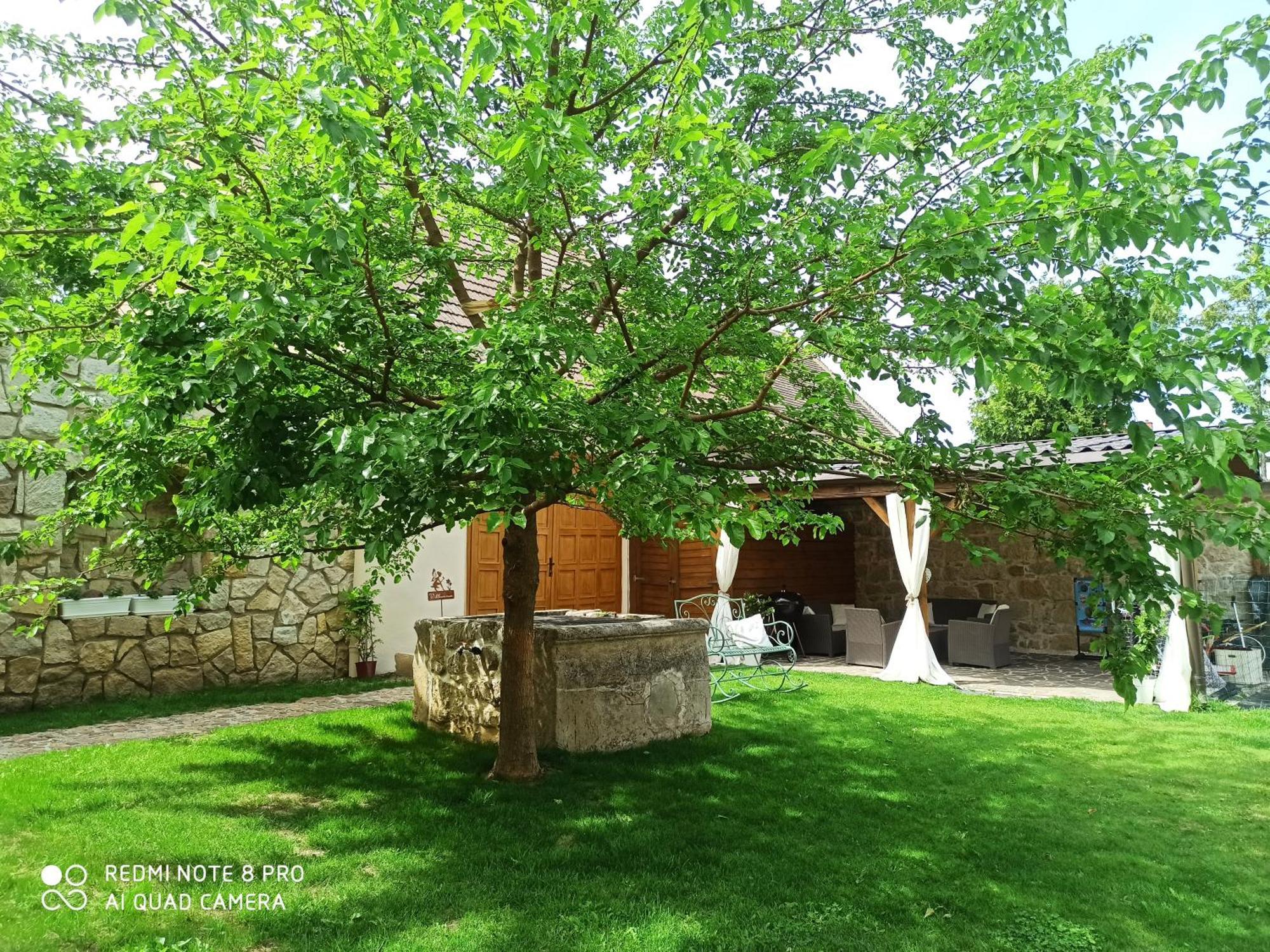 Alte Muehle Διαμέρισμα Rust Εξωτερικό φωτογραφία